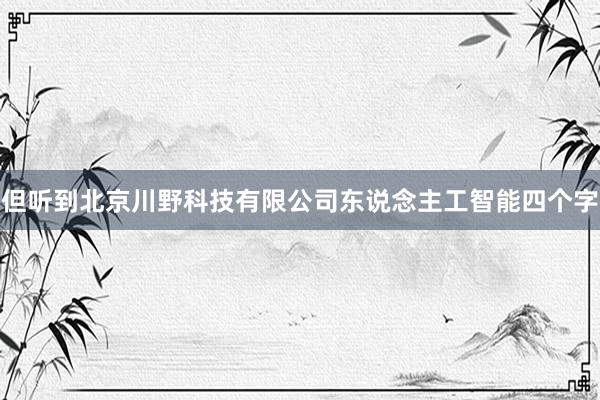 但听到北京川野科技有限公司东说念主工智能四个字