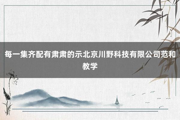每一集齐配有肃肃的示北京川野科技有限公司范和教学