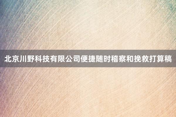 北京川野科技有限公司便捷随时稽察和挽救打算稿